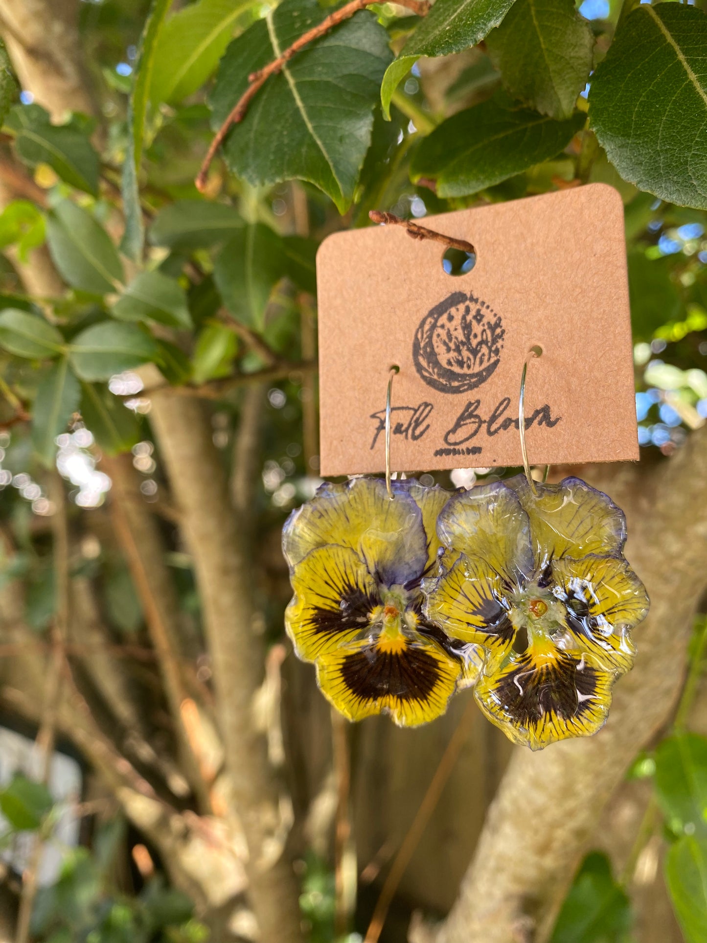 Sterling Silver Yellow Pansies Earrings
