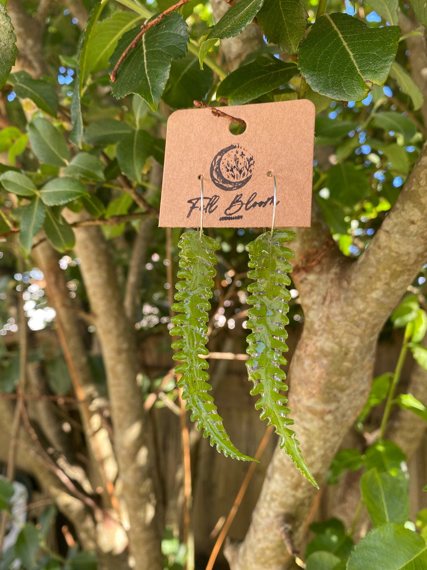 Sterling Silver Cornish Fern Earring