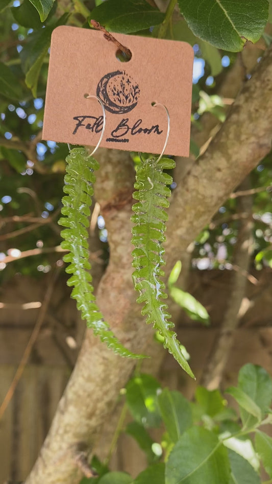 Sterling Silver Cornish Fern Earring