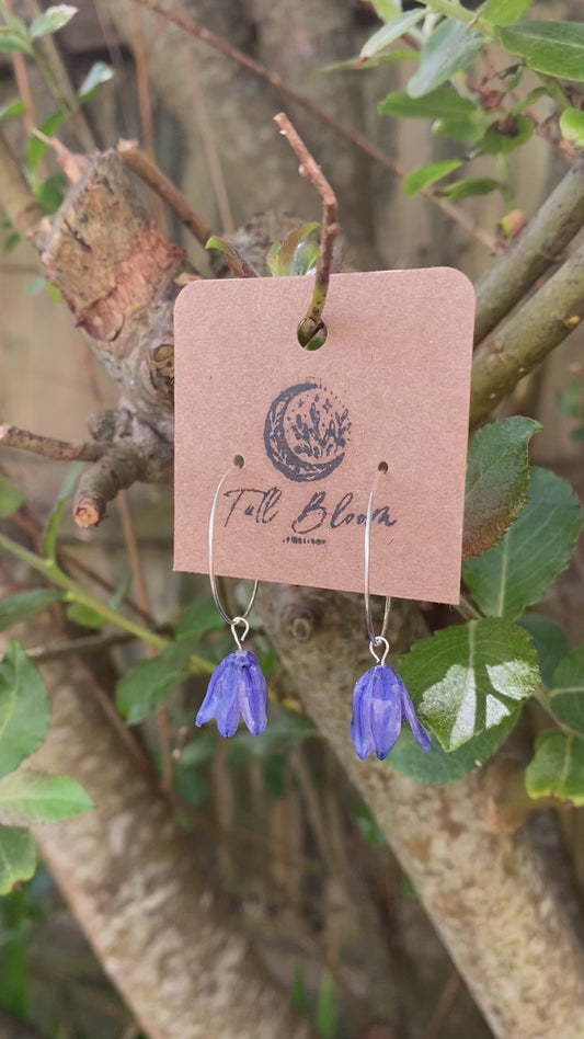 Sterling Silver real bluebell drop earrings